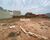 Terreno, 200 m² - Foto 1