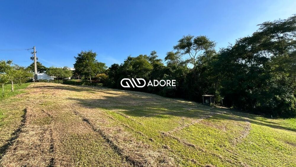 Terreno, 3000 m² - Foto 3