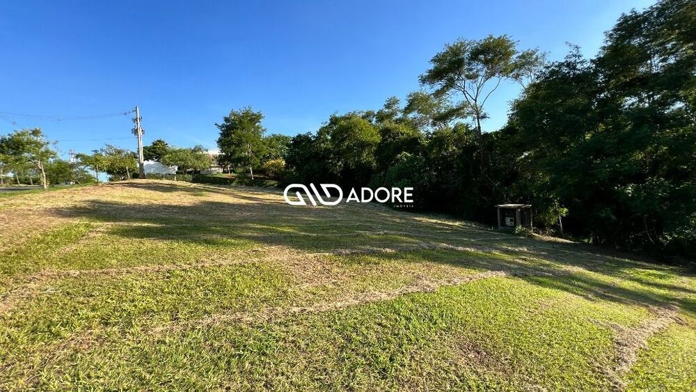 Terreno, 3000 m² - Foto 2