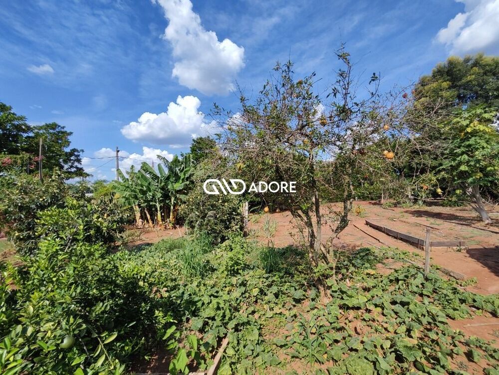 Terreno, 1000 m² - Foto 6