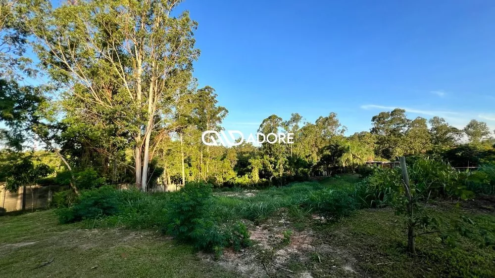 Terreno, 3097 m² - Foto 2