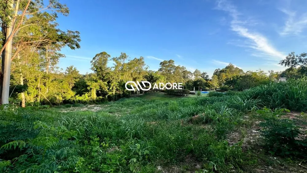 Terreno, 3097 m² - Foto 3