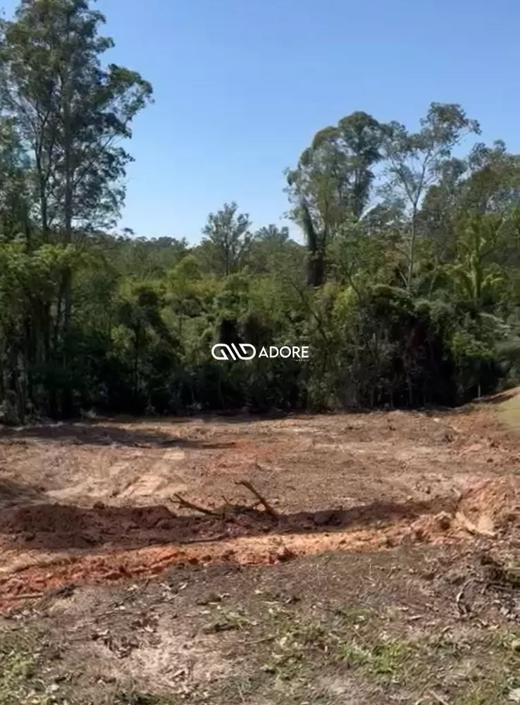 Terreno, 3097 m² - Foto 4