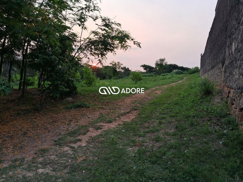 Terreno, 8266 m² - Foto 4