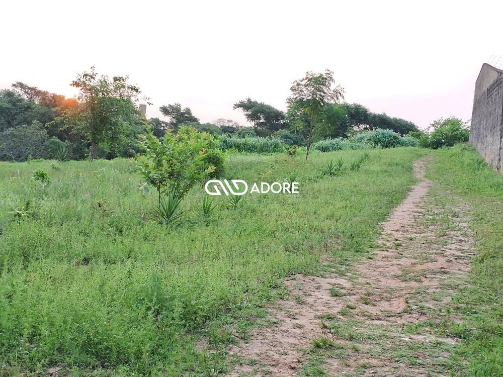 Terreno, 8266 m² - Foto 2