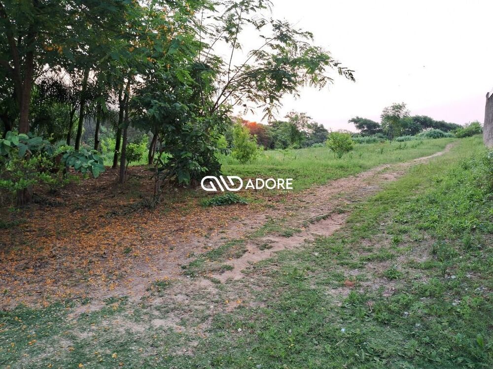 Terreno, 8266 m² - Foto 3