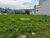 Terreno, 321 m² - Foto 1