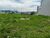 Terreno, 321 m² - Foto 8