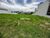 Terreno, 321 m² - Foto 5