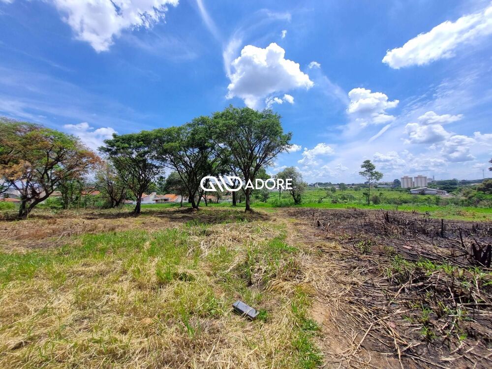 Terreno, 2 hectares - Foto 4