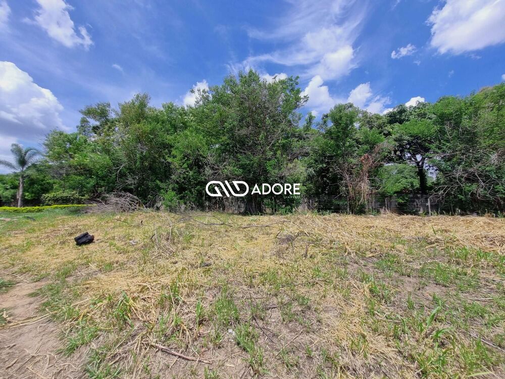 Terreno, 2 hectares - Foto 6