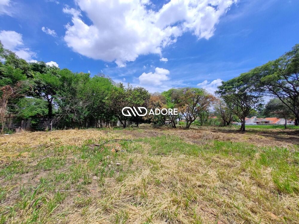 Terreno, 2 hectares - Foto 3