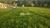 Terreno, 1132 m² - Foto 2