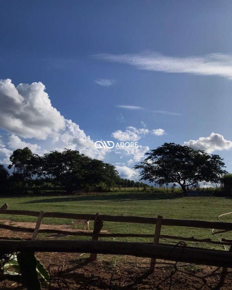 Terreno, 3000 m² - Foto 4