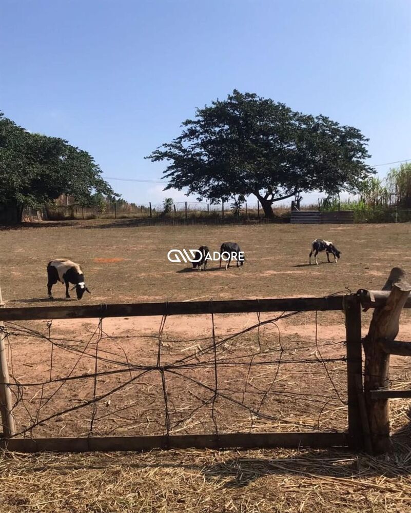 Terreno, 3000 m² - Foto 3