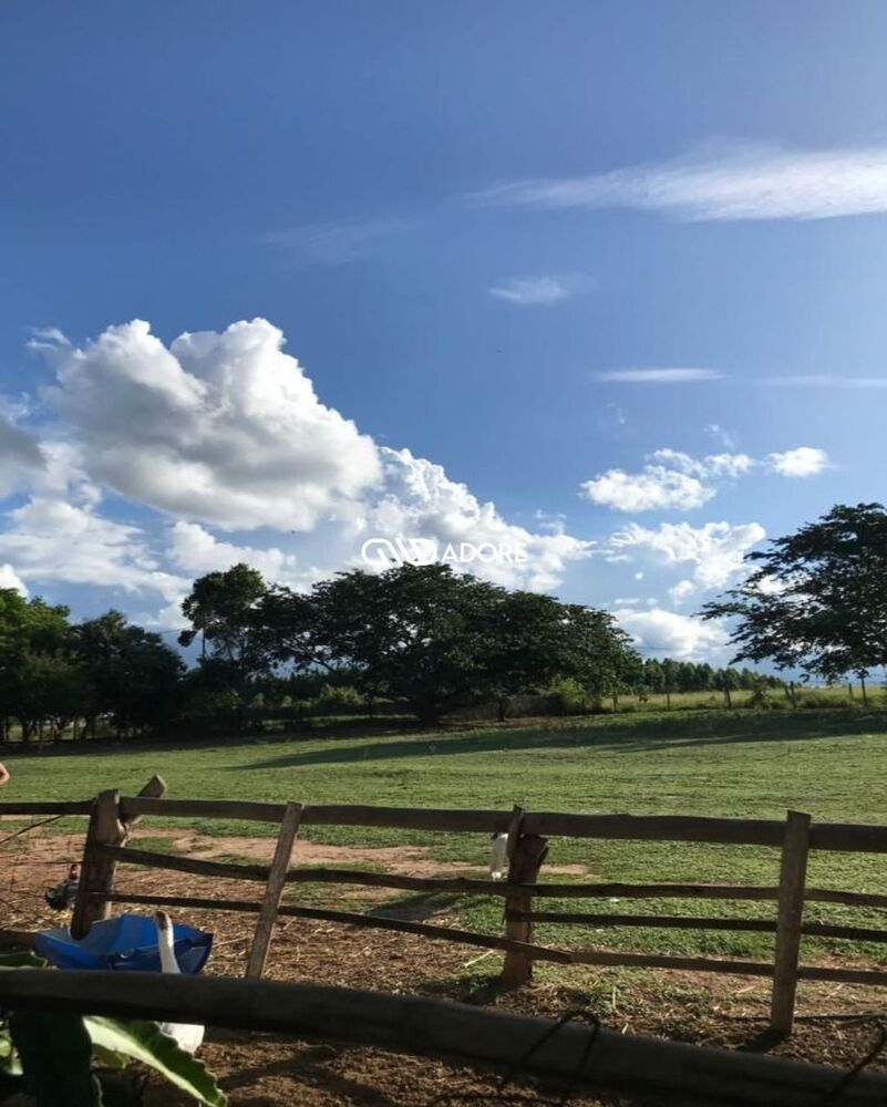 Terreno, 3000 m² - Foto 1