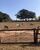 Terreno, 3000 m² - Foto 3