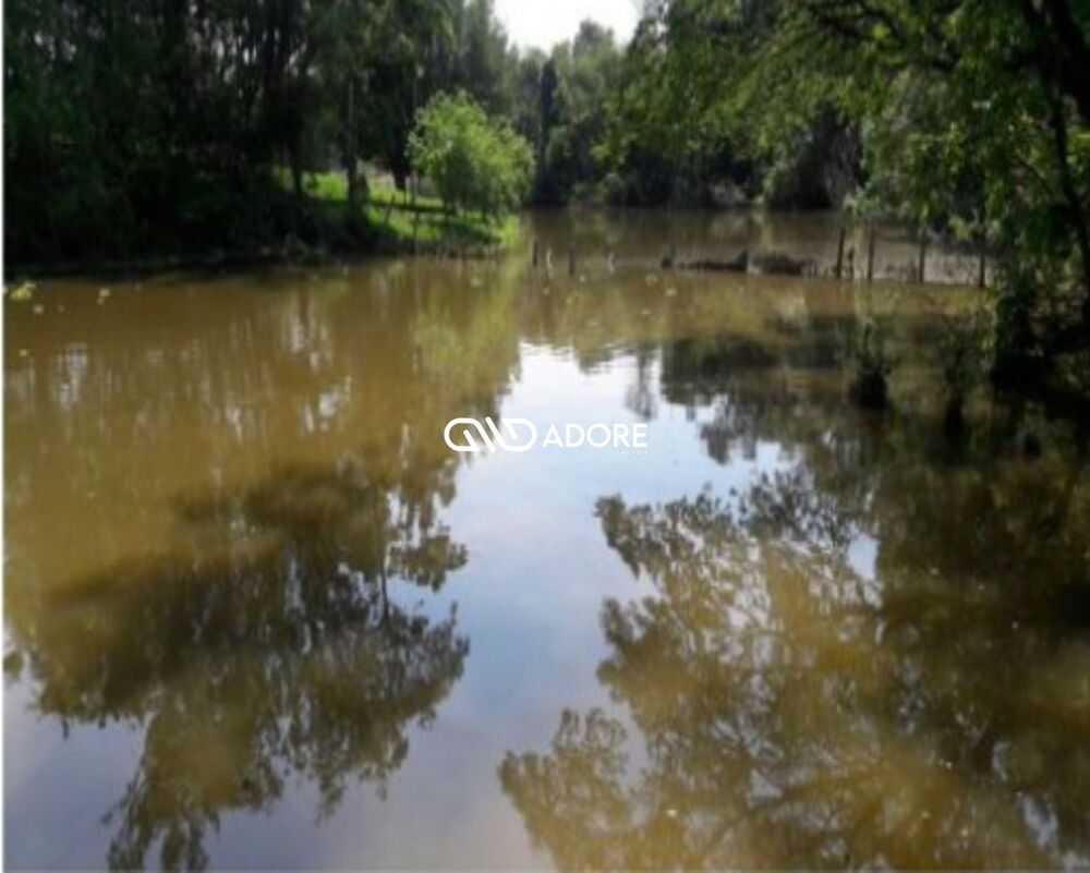 Terreno, 4 hectares - Foto 9