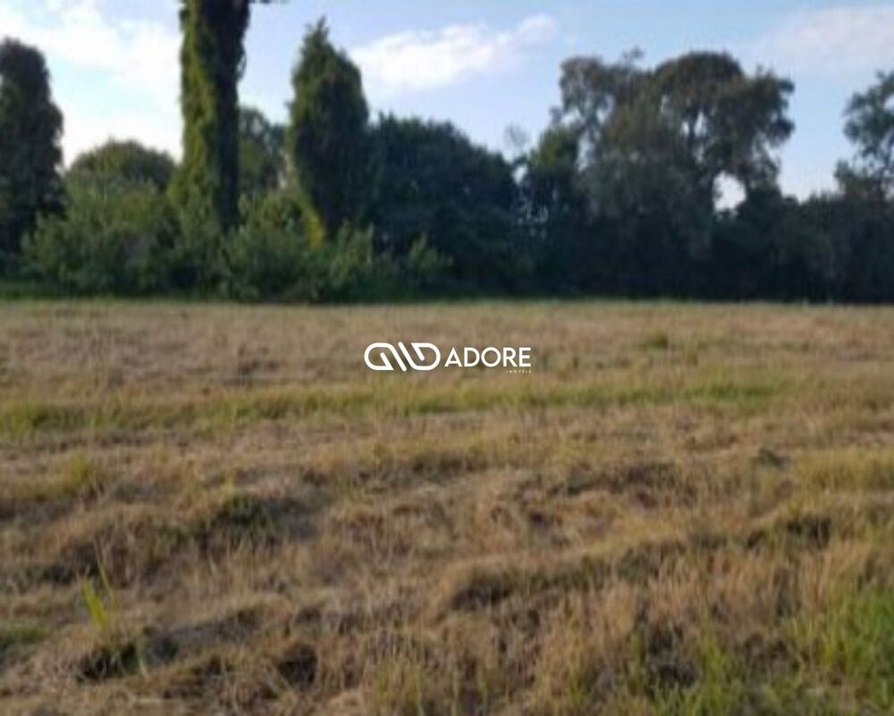 Terreno, 4 hectares - Foto 5