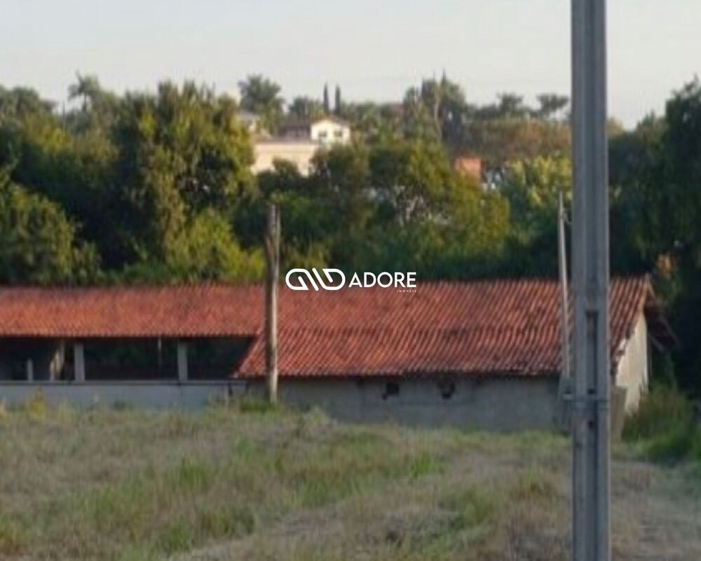 Terreno, 4 hectares - Foto 8