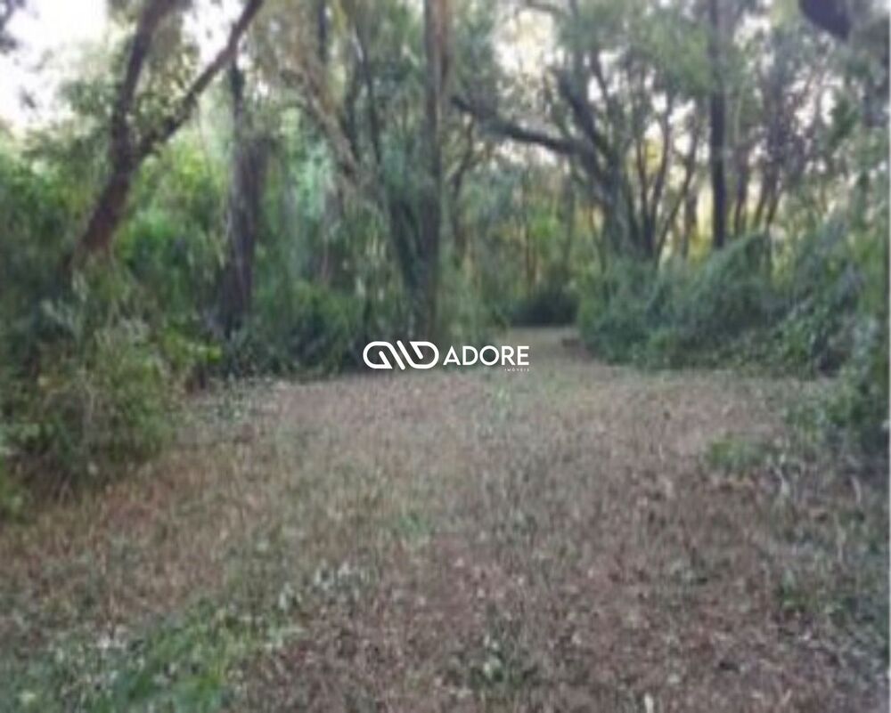 Terreno, 4 hectares - Foto 6