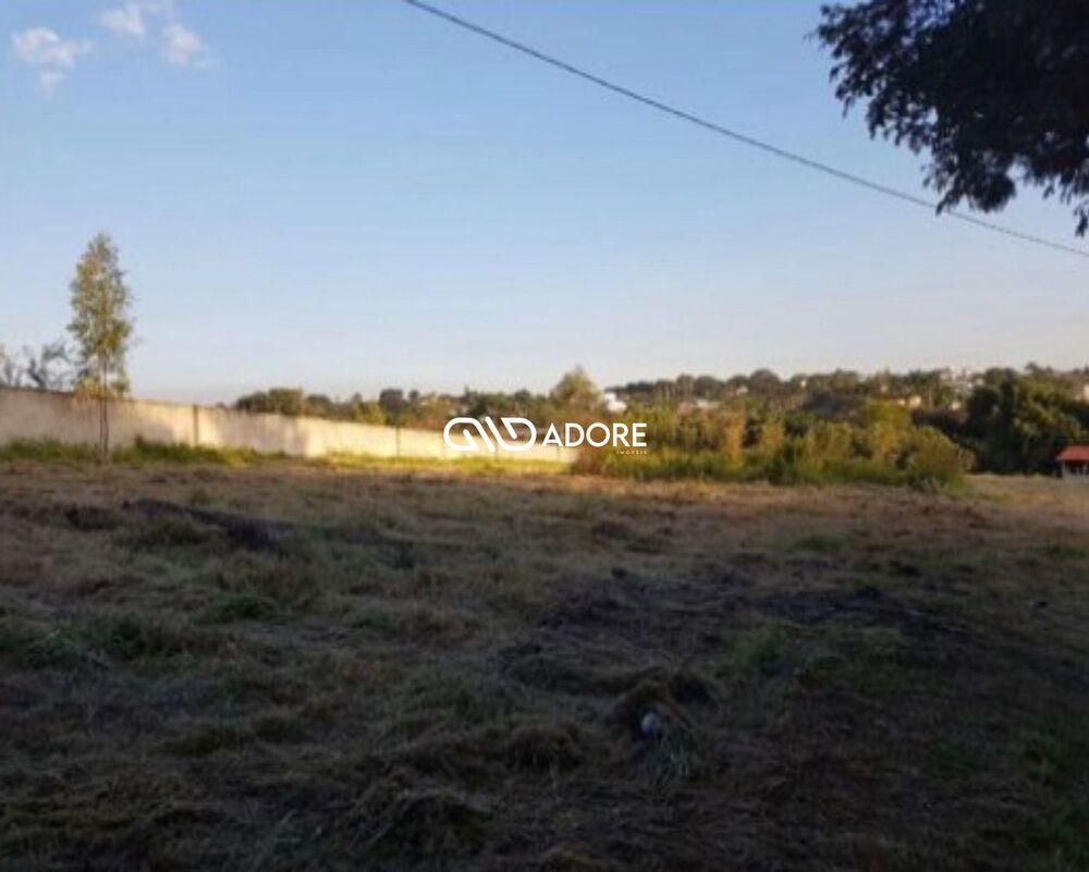 Terreno, 4 hectares - Foto 7