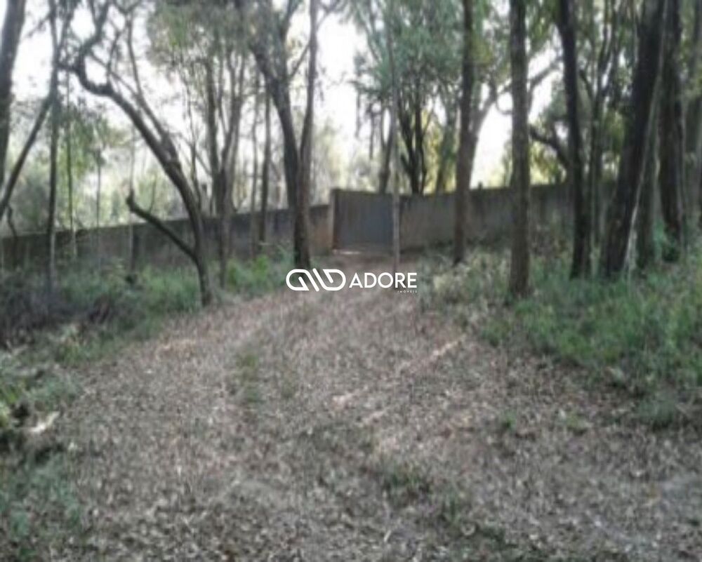 Terreno, 4 hectares - Foto 2