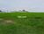 Terreno, 420 m² - Foto 3