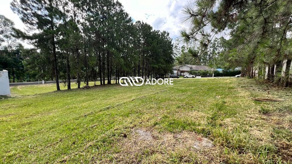 Terreno, 1817 m² - Foto 8