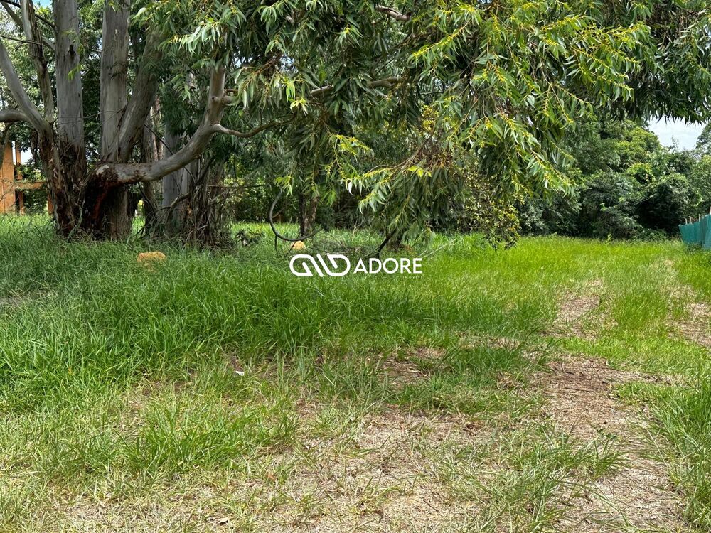 Terreno, 2859 m² - Foto 7