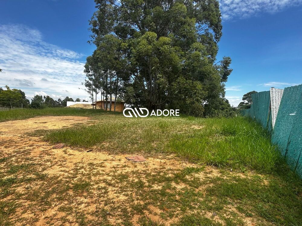 Terreno, 2859 m² - Foto 4