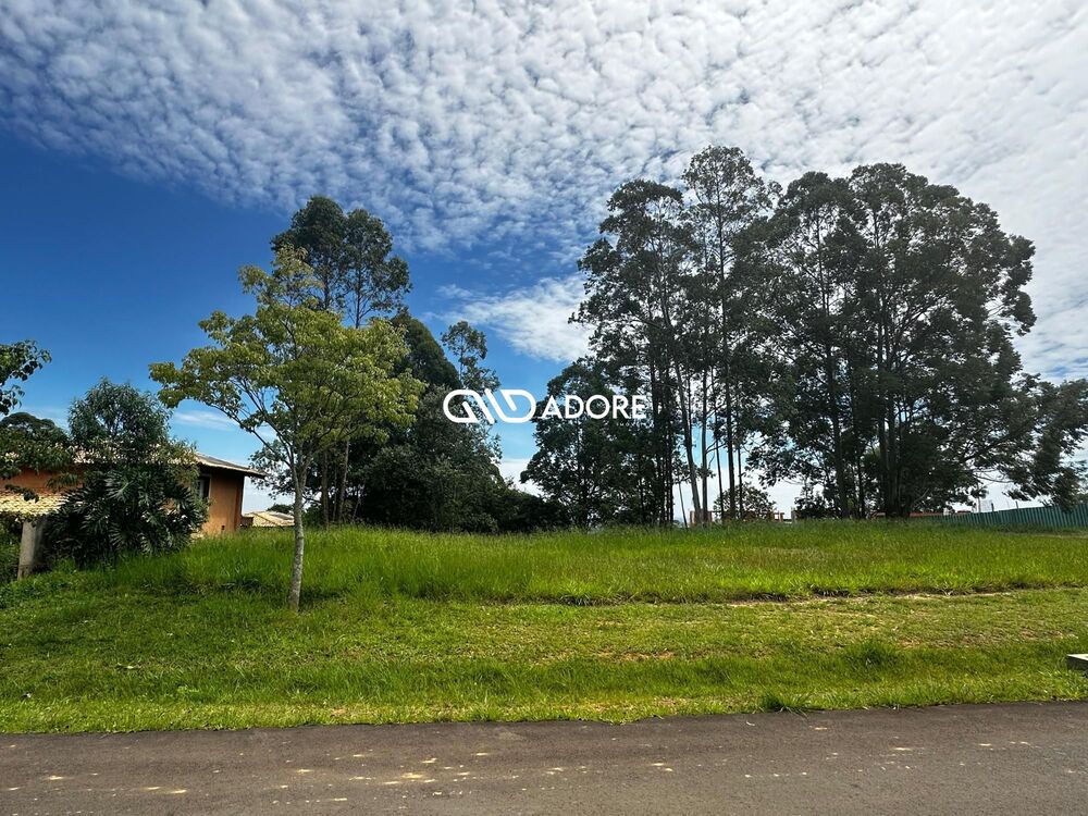 Terreno, 2859 m² - Foto 2