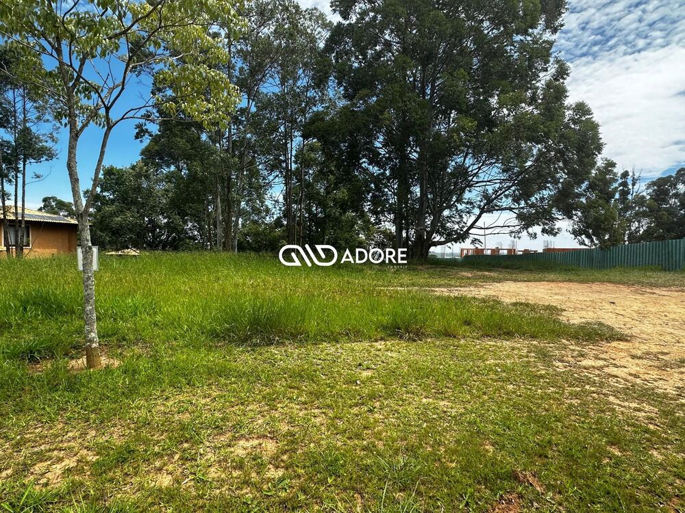 Terreno, 2859 m² - Foto 6