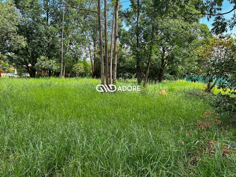 Terreno, 2859 m² - Foto 5