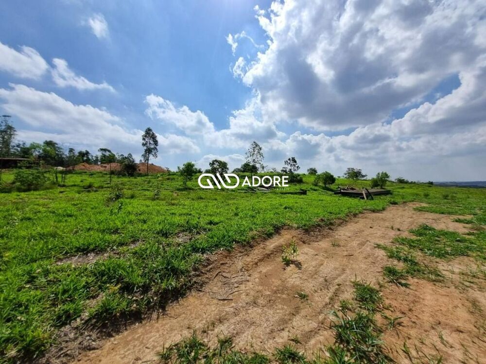 Terreno, 2369 m² - Foto 3