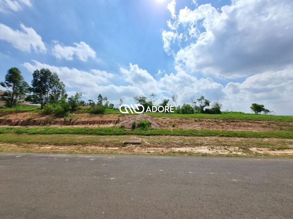 Terreno, 2369 m² - Foto 5