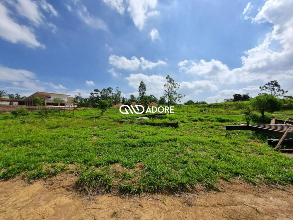 Terreno, 2369 m² - Foto 2