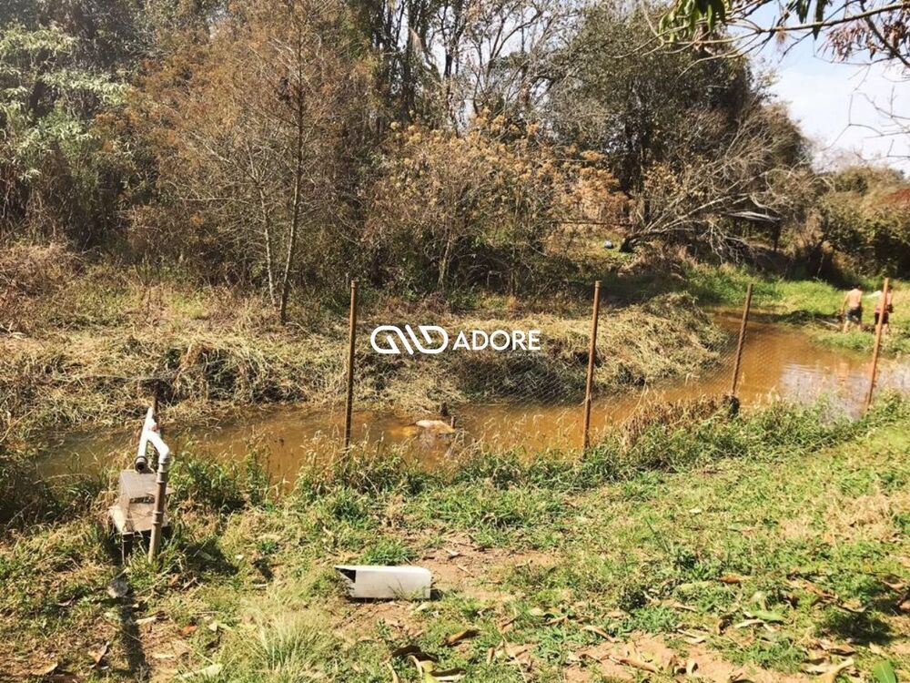 Chácara, 3 quartos, 2238 m² - Foto 7