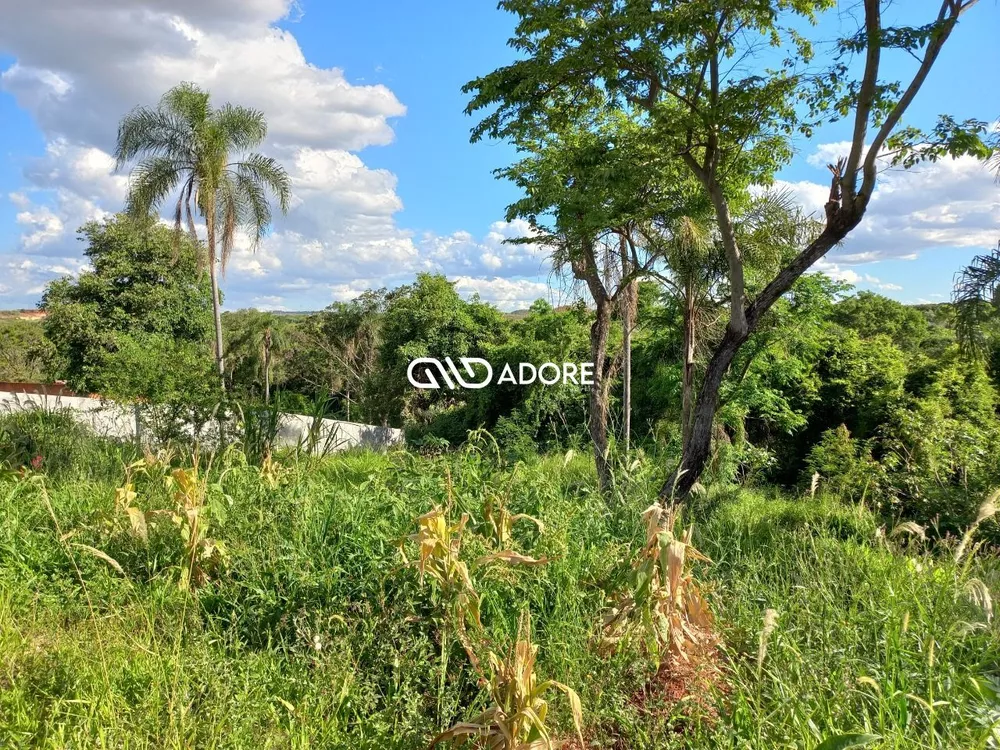 Terreno, 2000 m² - Foto 3