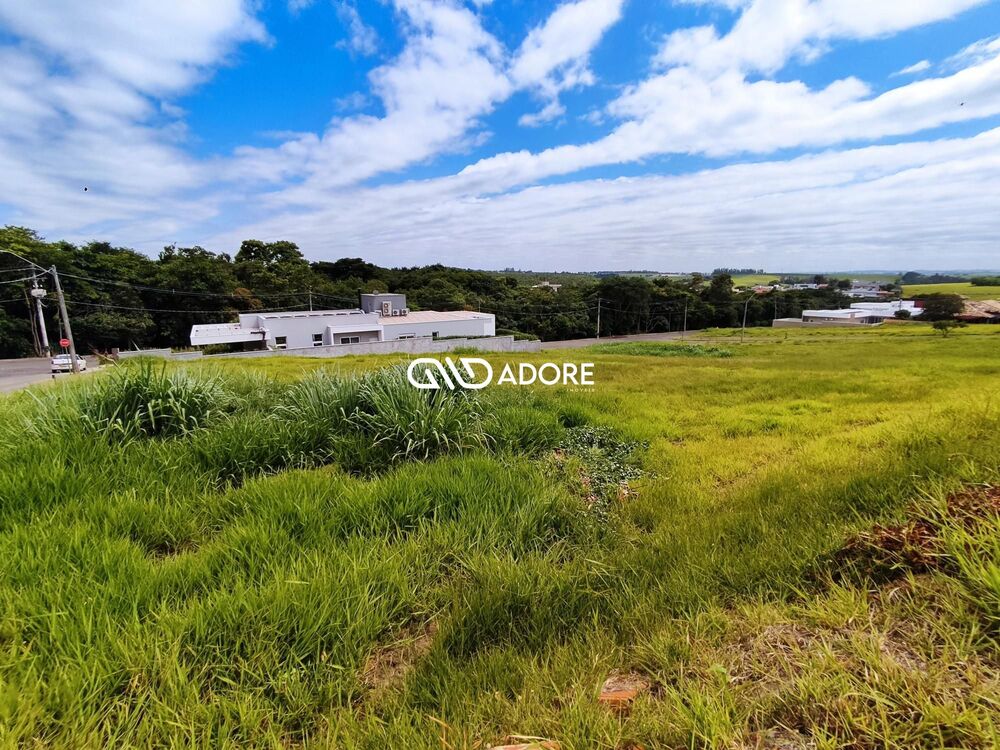 Terreno, 807 m² - Foto 4