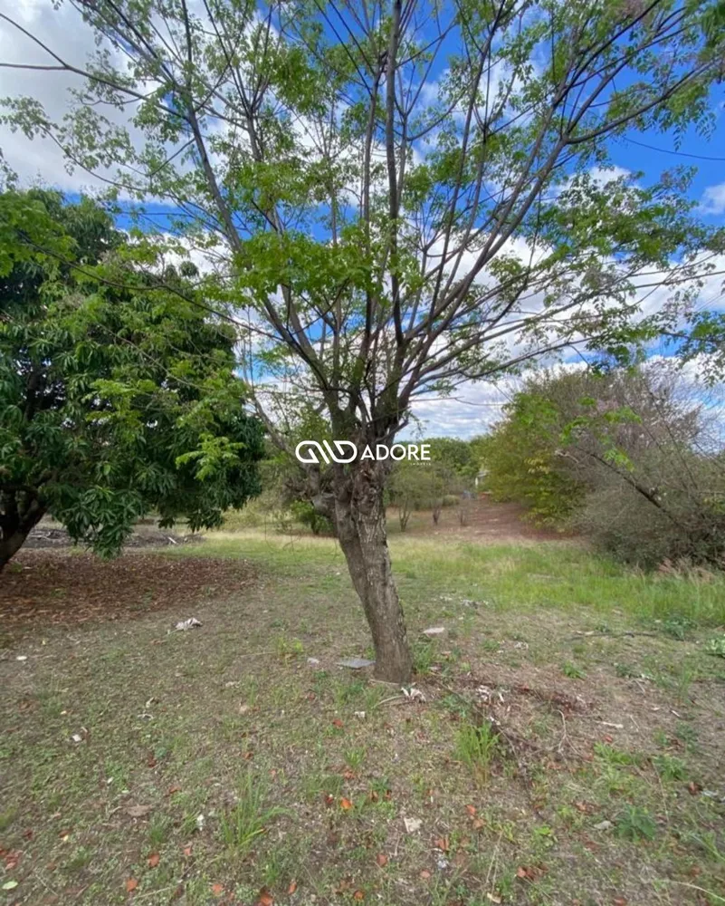 Chácara, 1 quarto, 6000 m² - Foto 4