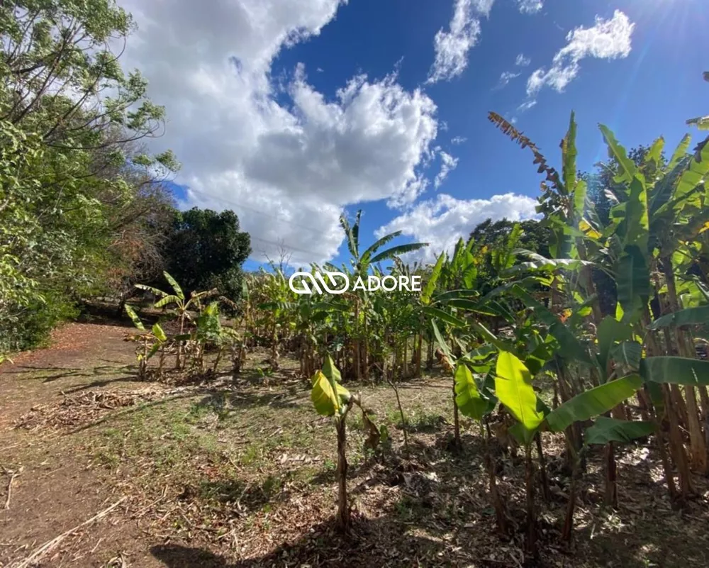 Chácara, 1 quarto, 6000 m² - Foto 1
