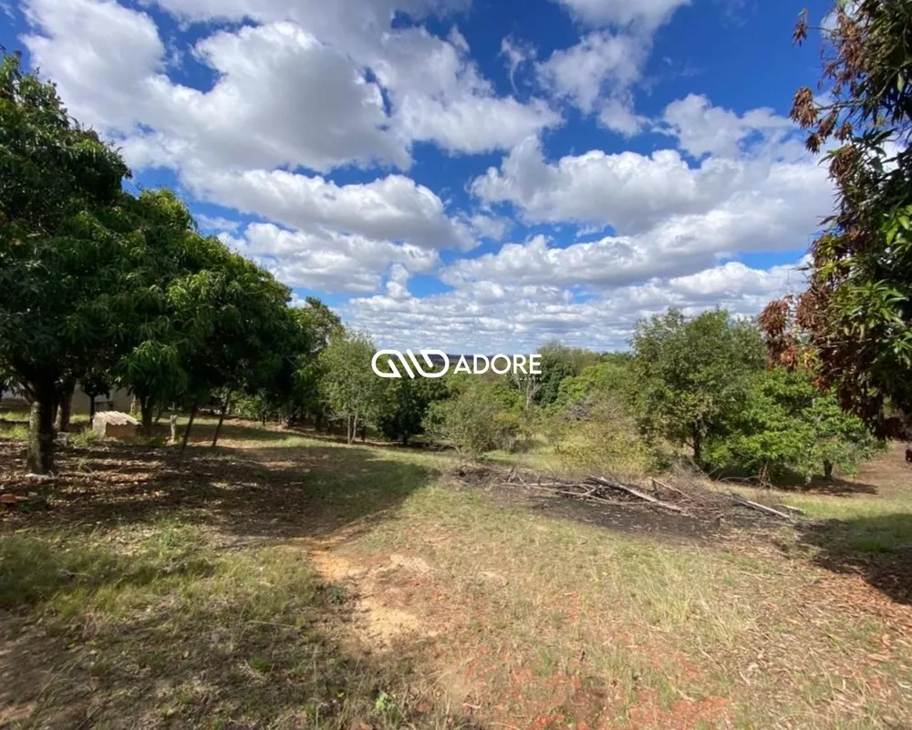 Chácara, 1 quarto, 6000 m² - Foto 3
