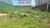 Terreno, 300 m² - Foto 4