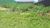 Terreno, 300 m² - Foto 3