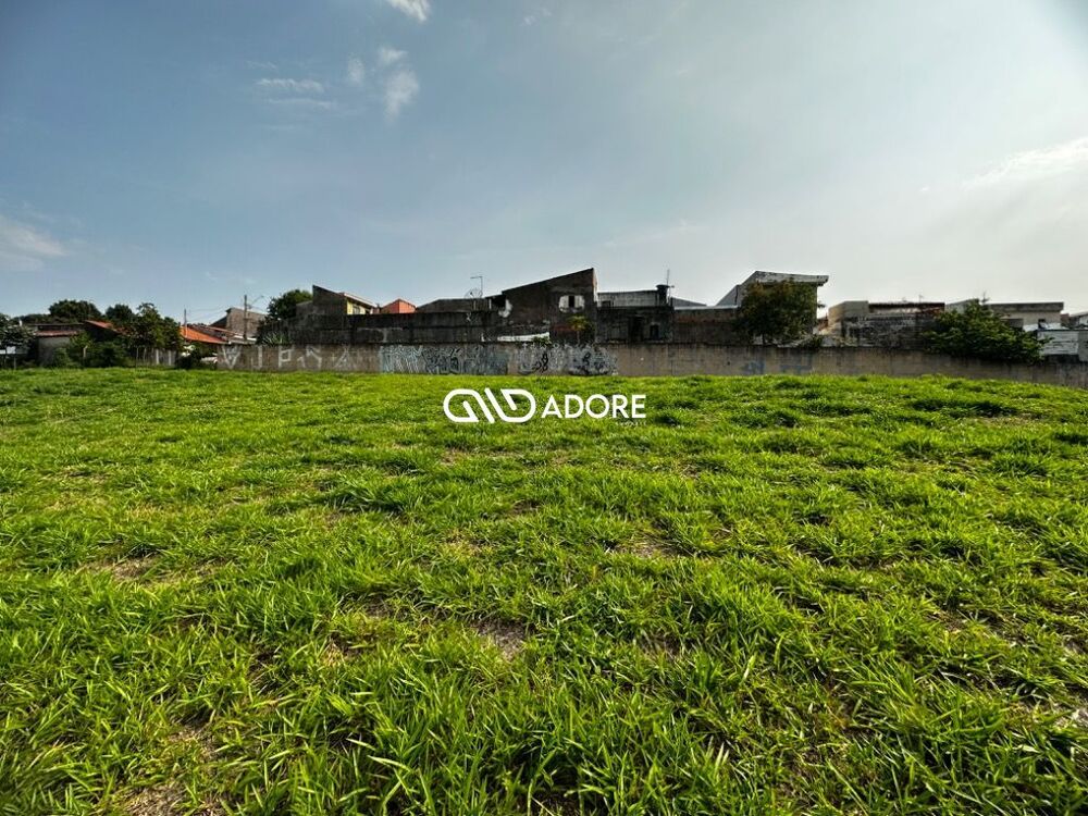 Terreno, 91 hectares - Foto 13