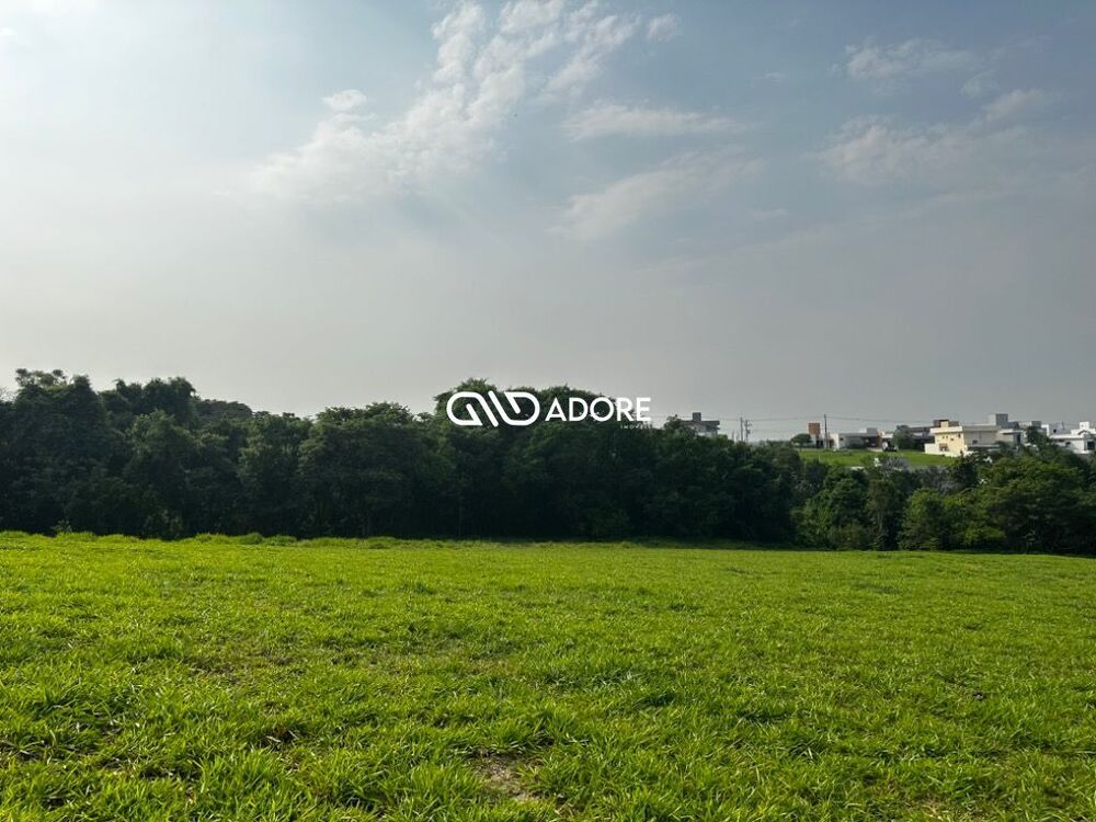 Terreno, 91 hectares - Foto 4