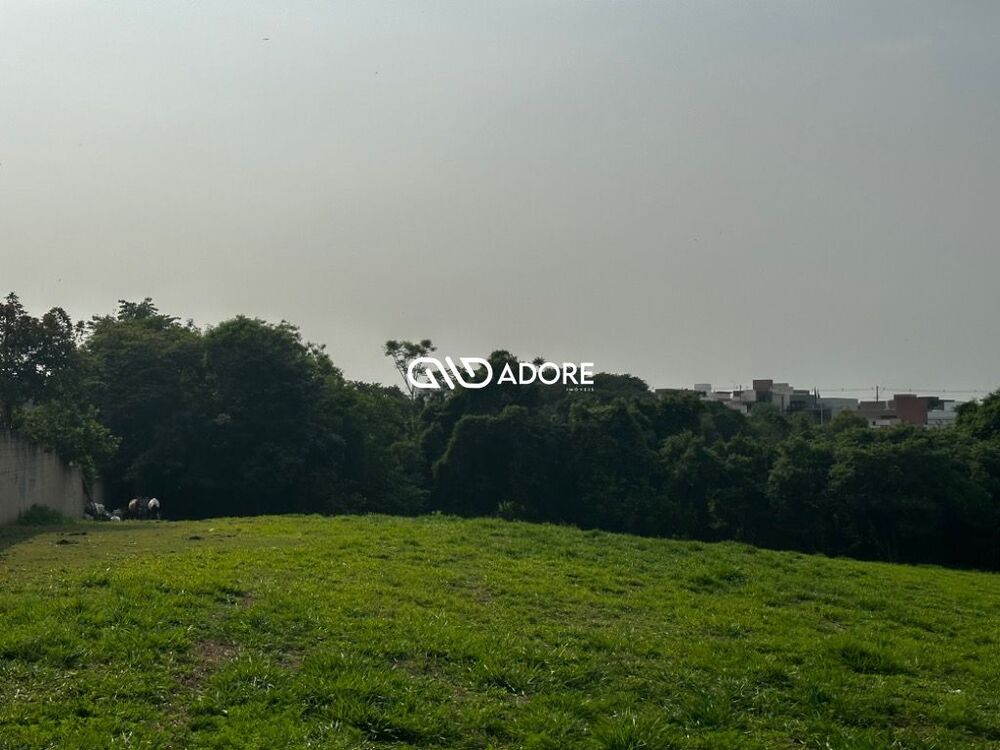 Terreno, 91 hectares - Foto 3