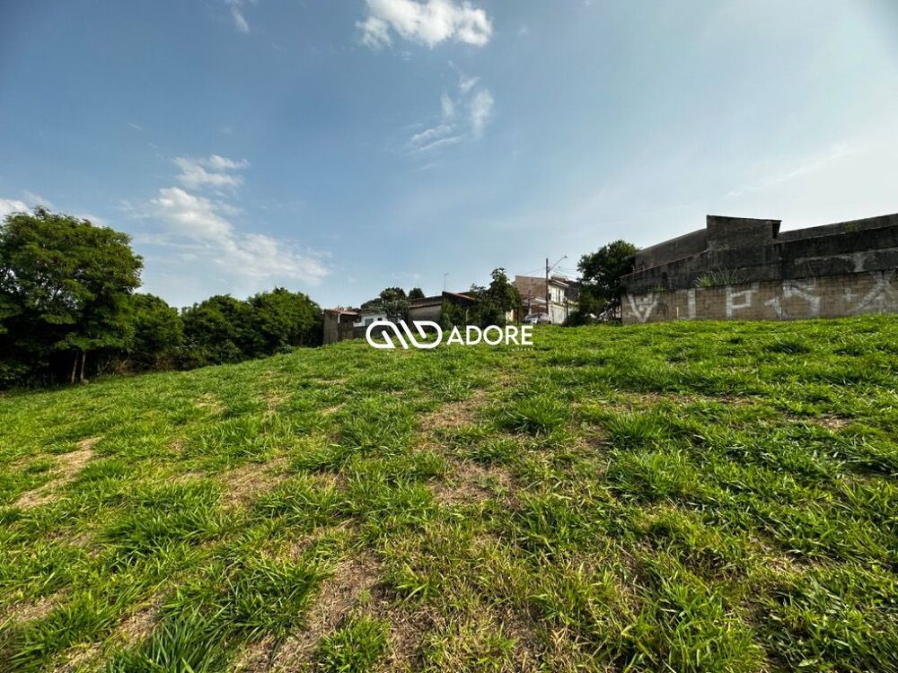Terreno, 91 hectares - Foto 6