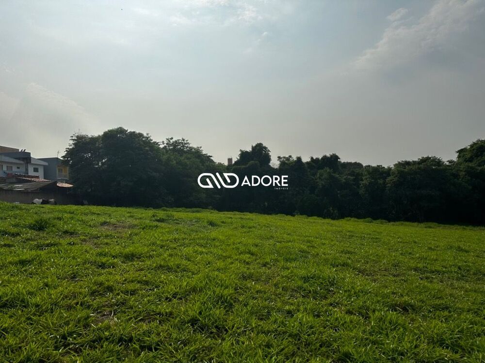 Terreno, 91 hectares - Foto 2